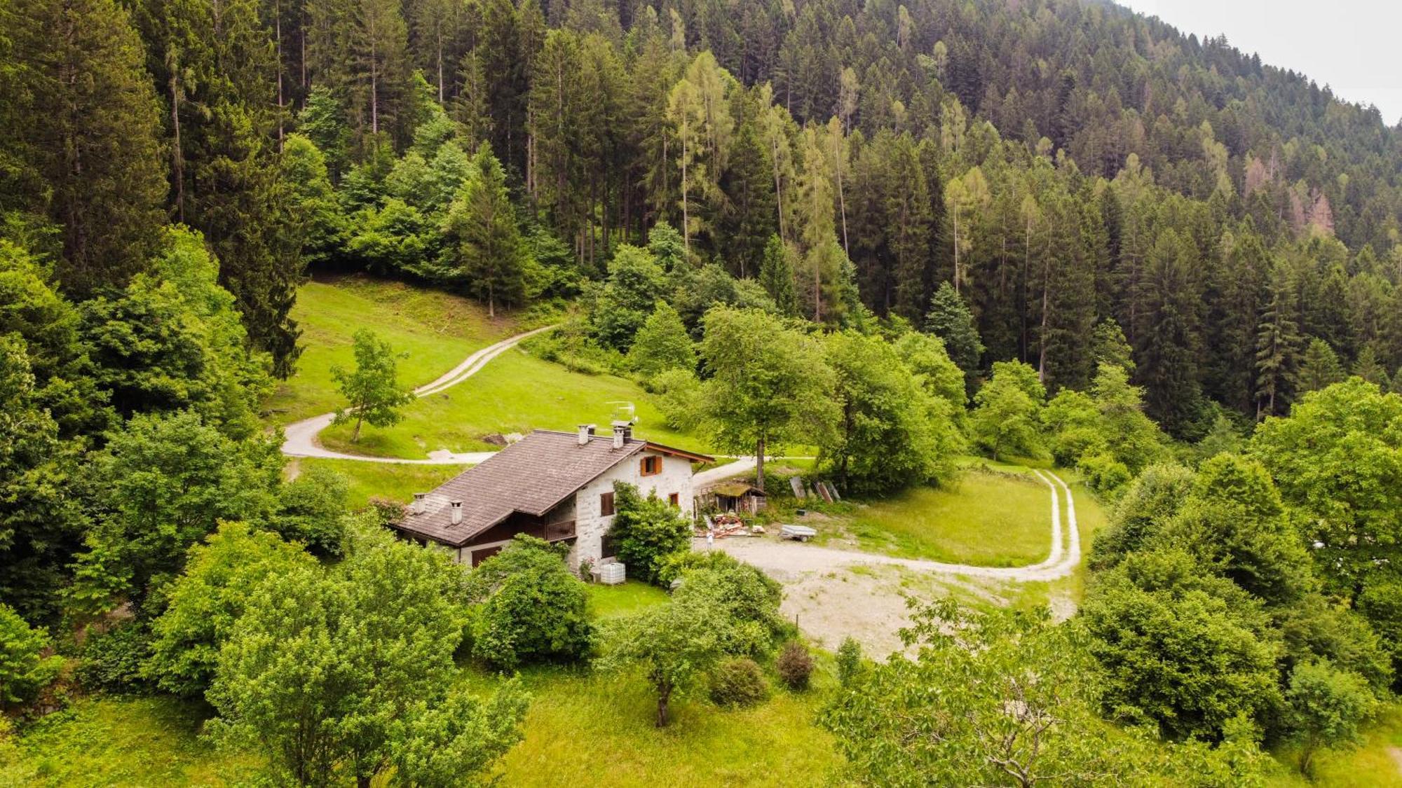 Porte di Rendena Luxury Chalet Dolomiti-Campiglio-Trentino מראה חיצוני תמונה